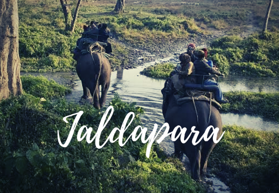 jaldapara national park tour package