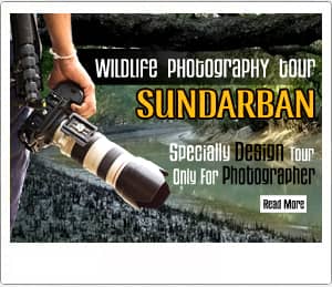 sundarban photography tour 2018