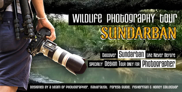 wildlife photography tour